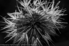 002_Marzena_Hmielewicz-3023