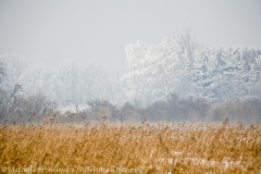 Winter at Lower Meadows, Zima na Niskich Lakach